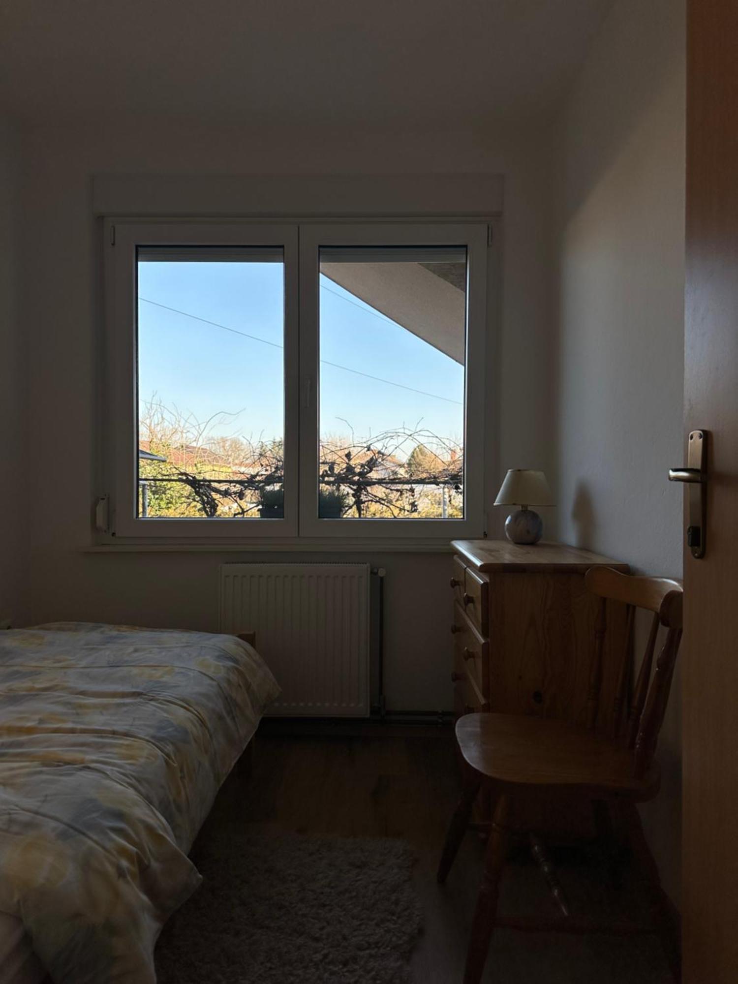 Vanessa Apartment Ljubljana Dış mekan fotoğraf