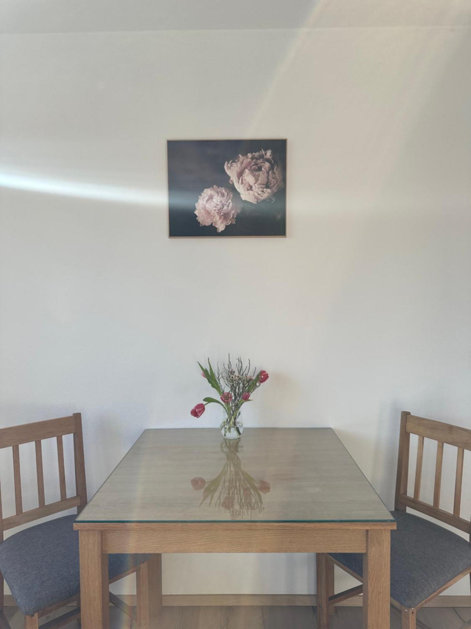 Vanessa Apartment Ljubljana Dış mekan fotoğraf